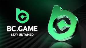 Exploring BC.Game A Gaming Revolution in Cameroon